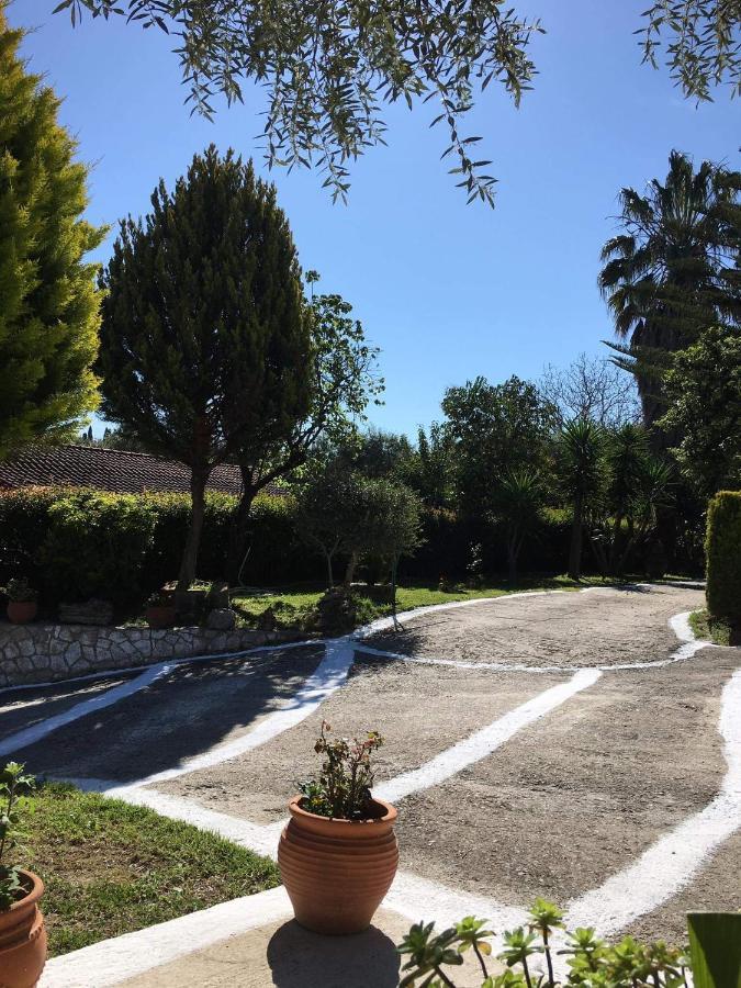Olive De Villa Agios Dimitrios  Luaran gambar